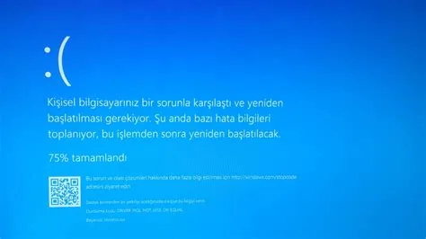 windows 10 mavi ekran hatası çözümü