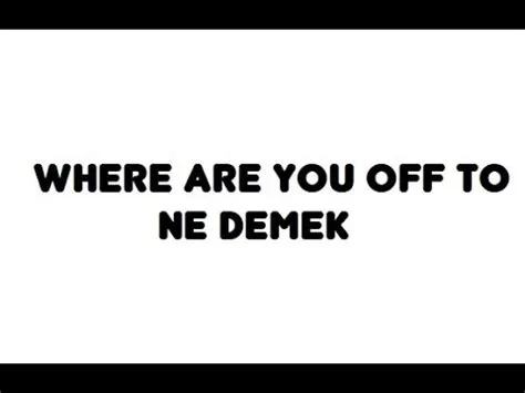 where are you from ne demek ?
