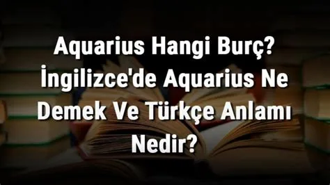 aquarius hangi burç ?